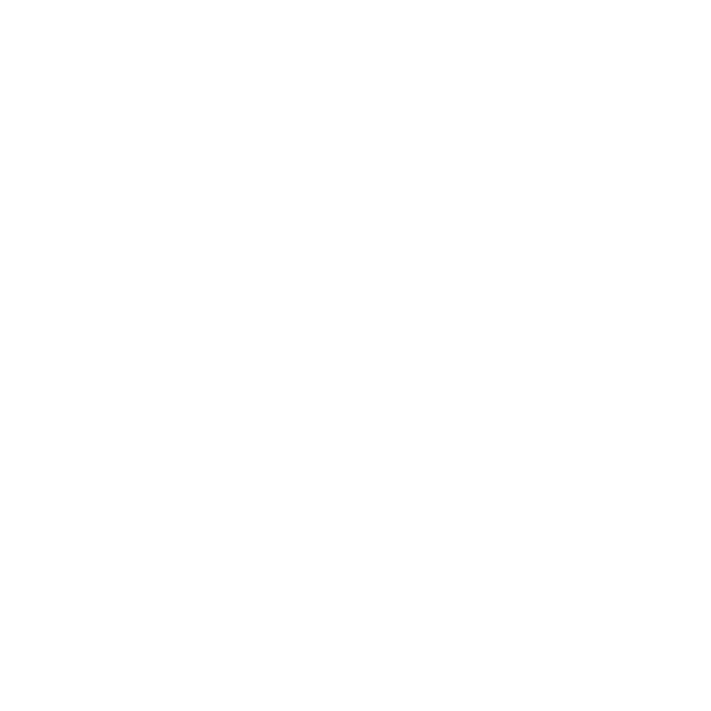 Maxstream Logo